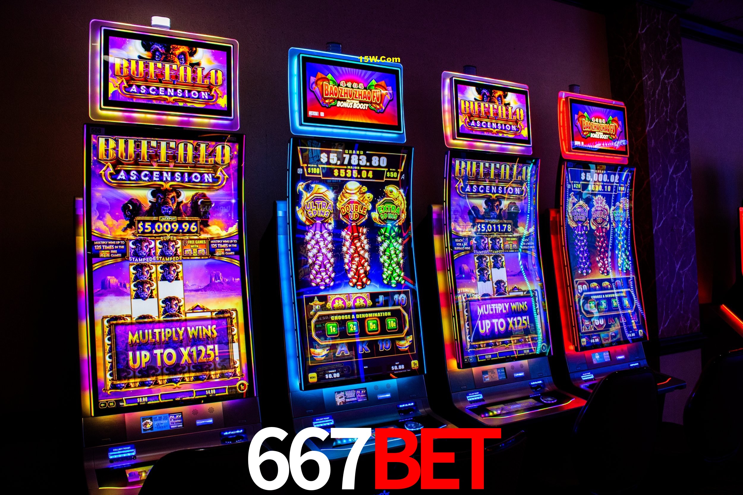 Experiência VIP 667Bet